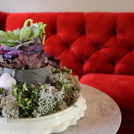 - Pension&gaststätte Alter König Hotell 3*